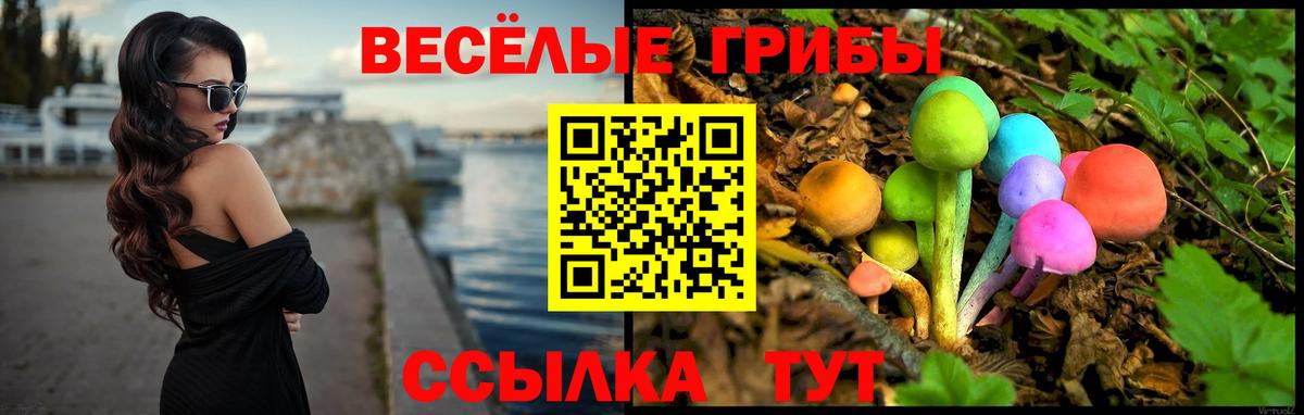 Галлюциногенные грибы GOLDEN TEACHER Москва