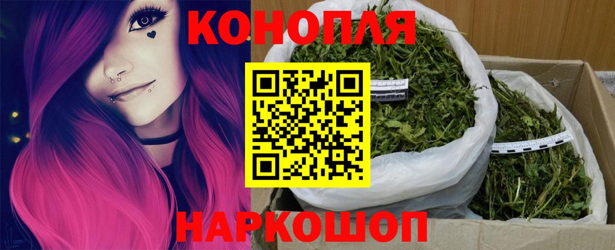 Бошки Шишки ГИДРОПОН Москва